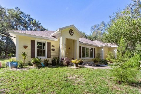 Villa ou maison à vendre à Floral City, Floride: 2 chambres, 162.58 m2 № 2405228 - photo 2