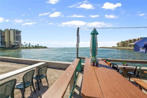 Casa en alquiler en Saint Pete Beach, Florida, 2 dormitorios, 80.45 m2 № 2103061 - foto 29