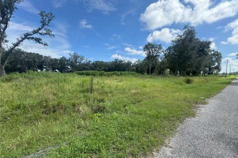 Terreno en venta en Ona, Florida № 1913555 - foto 5
