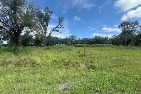 Terreno en venta en Ona, Florida № 1913555 - foto 2