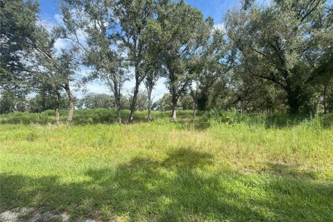 Terreno en venta en Ona, Florida № 1913555 - foto 4