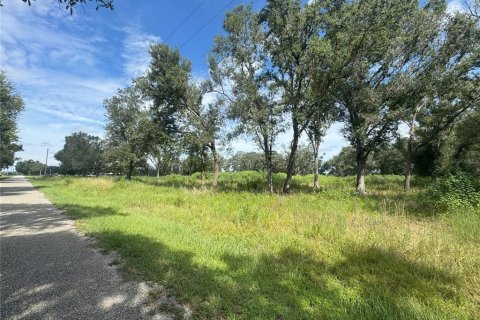 Terreno en venta en Ona, Florida № 1913555 - foto 1