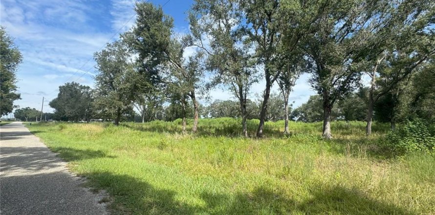 Terreno en Ona, Florida № 1913555
