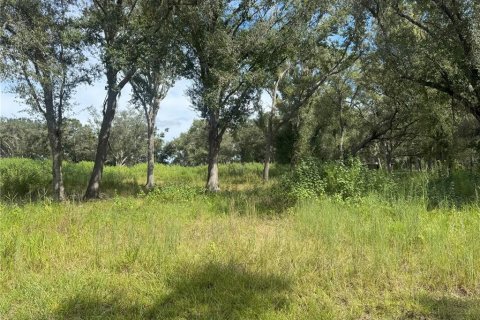 Terreno en venta en Ona, Florida № 1913555 - foto 3