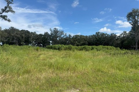 Terreno en venta en Ona, Florida № 1913555 - foto 6