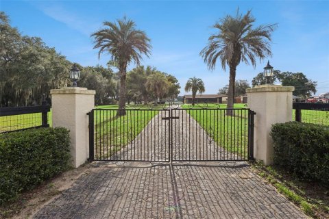 Casa en venta en Belleview, Florida, 3 dormitorios, 238.39 m2 № 2318678 - foto 3
