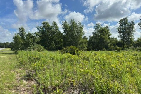 Terreno en venta en Ocala, Florida № 2148874 - foto 6