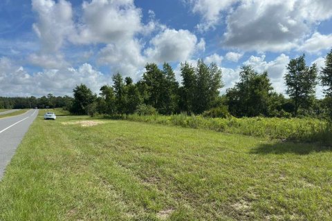 Terreno en venta en Ocala, Florida № 2148874 - foto 4