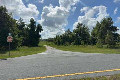 Terreno en venta en Ocala, Florida № 2148874 - foto 9
