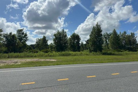 Terreno en venta en Ocala, Florida № 2148874 - foto 2