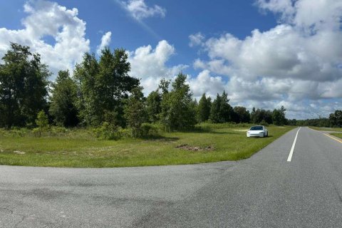 Terreno en venta en Ocala, Florida № 2148874 - foto 7