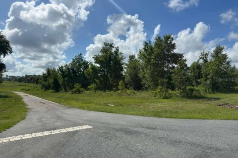 Terreno en venta en Ocala, Florida № 2148874 - foto 8