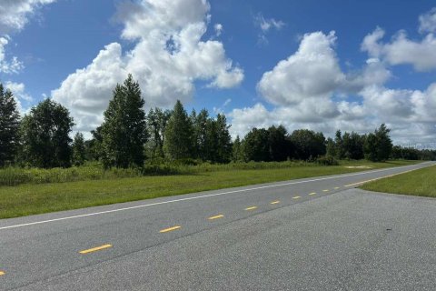Terreno en venta en Ocala, Florida № 2148874 - foto 3