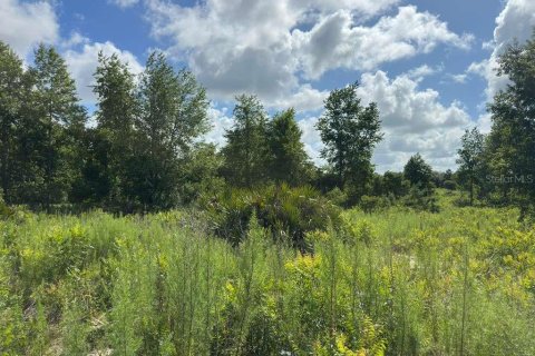 Terreno en venta en Ocala, Florida № 2148874 - foto 5