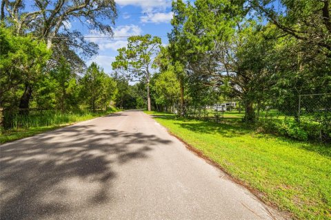House in Brooksville, Florida 3 bedrooms, 401.62 sq.m. № 2109291 - photo 28