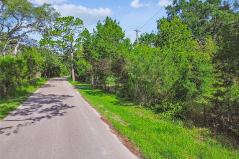 House in Brooksville, Florida 3 bedrooms, 401.62 sq.m. № 2109291 - photo 13