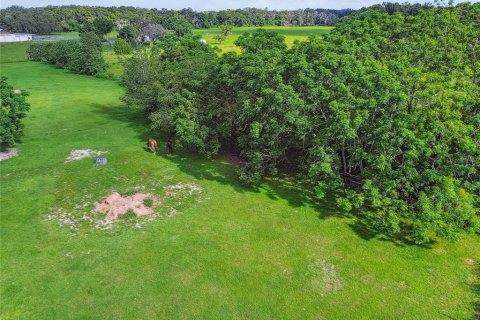 House in Brooksville, Florida 3 bedrooms, 401.62 sq.m. № 2109291 - photo 20