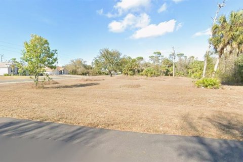 Terrain à Punta Gorda, Floride № 2222141
