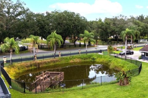 Commercial property in Plant City, Florida 20 bedrooms, 631.18 sq.m. № 1829810 - photo 8