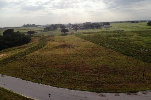 Terreno en venta en Thonotosassa, Florida № 2308792 - foto 3