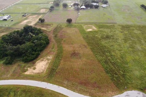 Terreno en Thonotosassa, Florida № 2308792