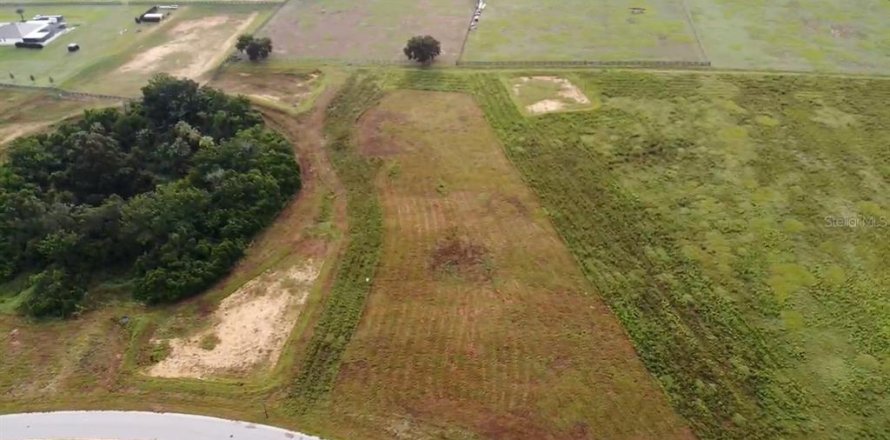 Terreno en Thonotosassa, Florida № 2308792