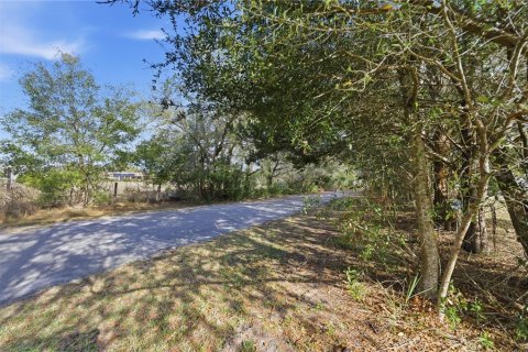 Casa en venta en Summerfield, Florida, 2 dormitorios, 93.65 m2 № 2157873 - foto 16