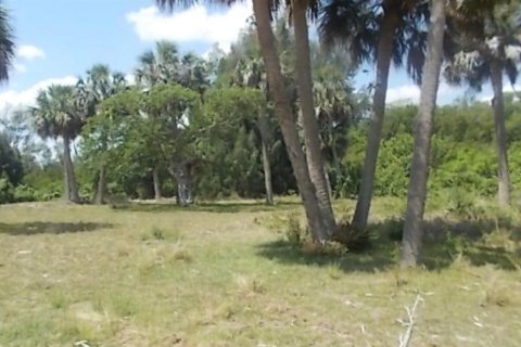Terrain à Grant-Valkaria, Floride № 2345481
