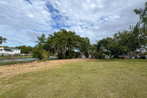 Land in Maitland, Florida № 1853385 - photo 4