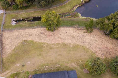 Land in Maitland, Florida № 1853385 - photo 3