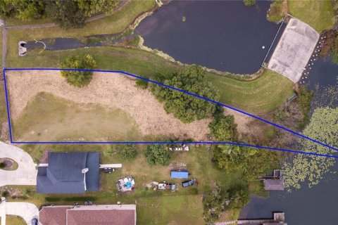 Land in Maitland, Florida № 1853385 - photo 2