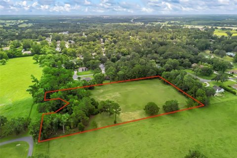 Land in Ocala, Florida № 1773148 - photo 7