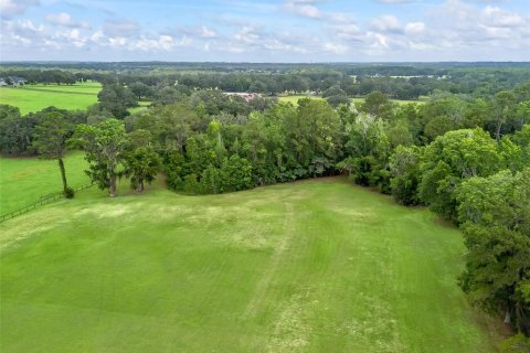 Land in Ocala, Florida № 1773148 - photo 12