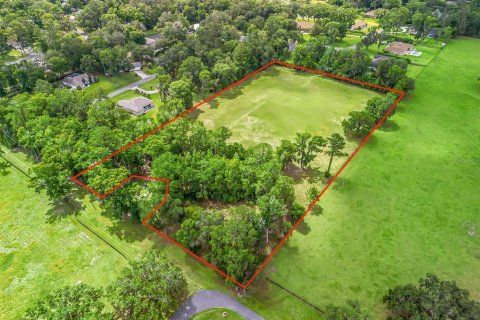 Land in Ocala, Florida № 1773148 - photo 6