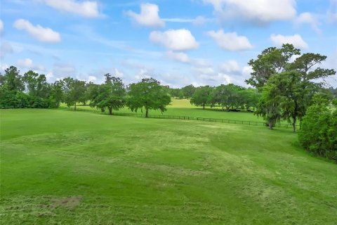 Land in Ocala, Florida № 1773148 - photo 9