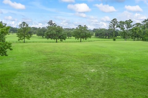 Land in Ocala, Florida № 1773148 - photo 11
