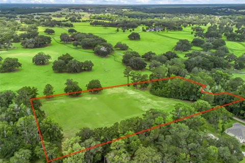 Land in Ocala, Florida № 1773148 - photo 2