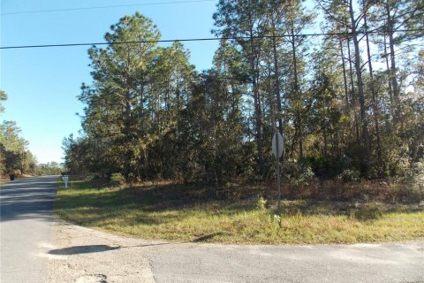 Land in Citrus Springs, Florida № 2165313 - photo 2
