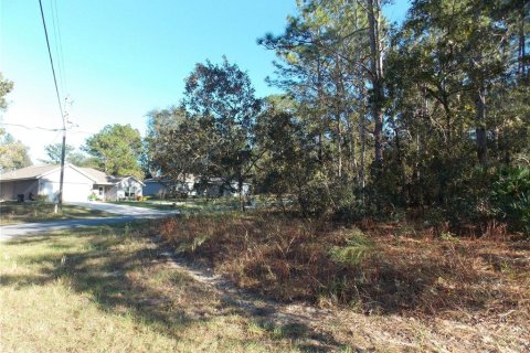 Land in Citrus Springs, Florida № 2165313 - photo 4
