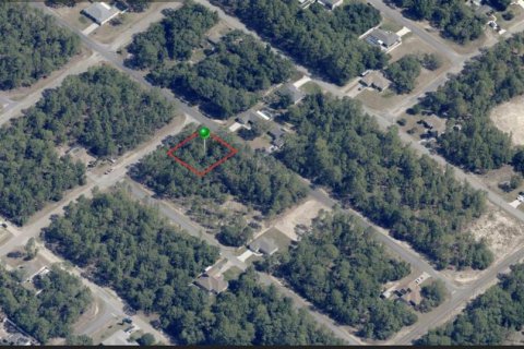 Land in Citrus Springs, Florida № 2165313 - photo 5