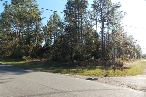 Land in Citrus Springs, Florida № 2165313