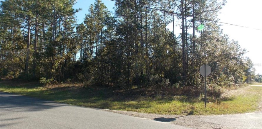 Land in Citrus Springs, Florida № 2165313