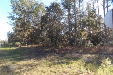 Land in Citrus Springs, Florida № 2165313 - photo 3