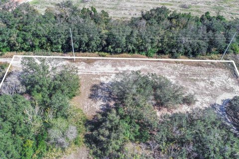 Land in Dundee, Florida № 1519747 - photo 3
