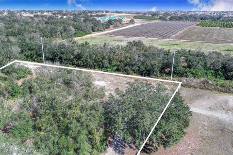 Land in Dundee, Florida № 1519747 - photo 4