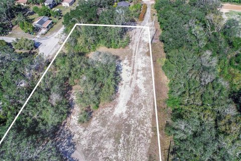 Land in Dundee, Florida № 1519747 - photo 2