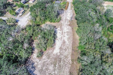 Land in Dundee, Florida № 1519747 - photo 7