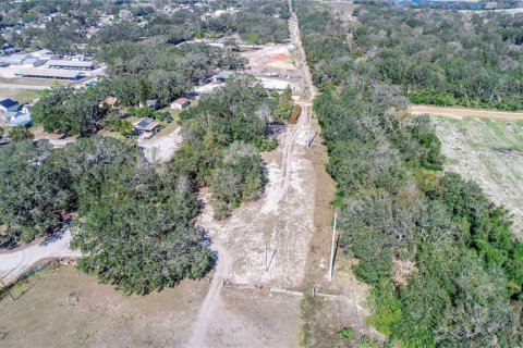 Land in Dundee, Florida № 1519747 - photo 6