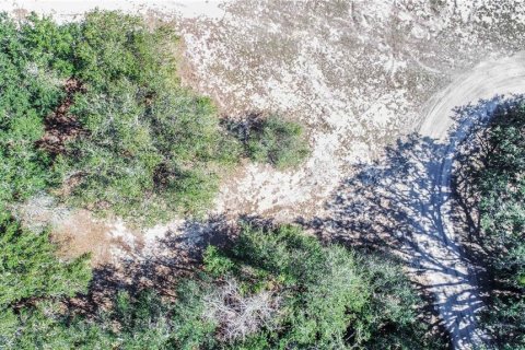 Land in Dundee, Florida № 1519747 - photo 5