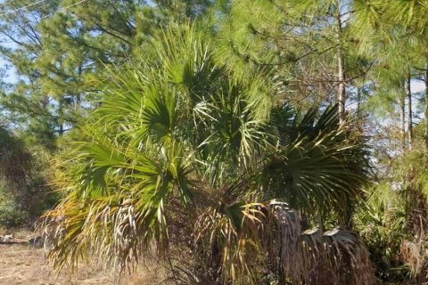 Land in Lehigh Acres, Florida № 2159543